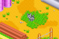 screenshots/Game Boy Advance/Catz/Kawaii Koneko (Eng) 015.png